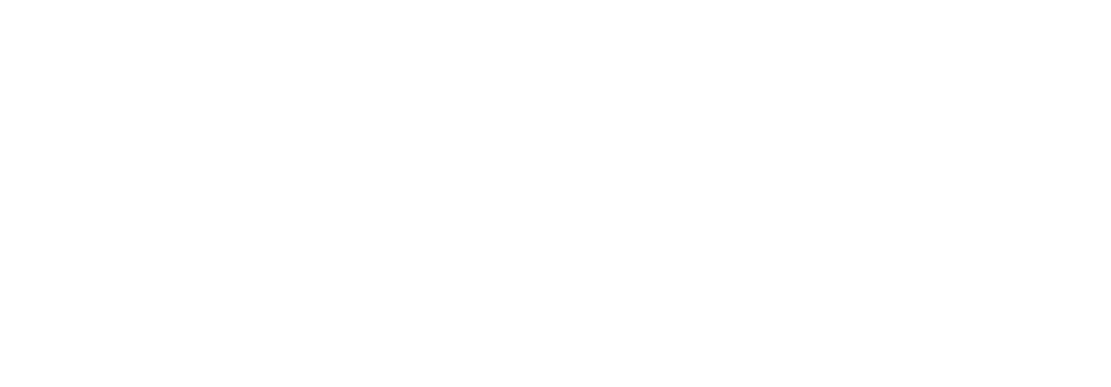 esscreen – estores y cortinas a medida logotipo negativo